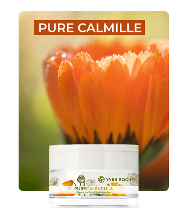PURE CALMILLE