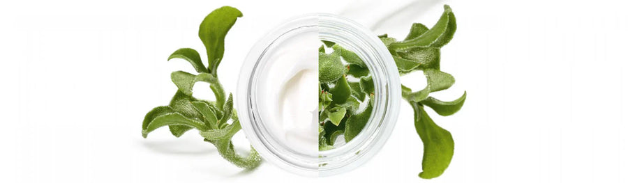 COSMÉTIQUE VÉGÉTALE®