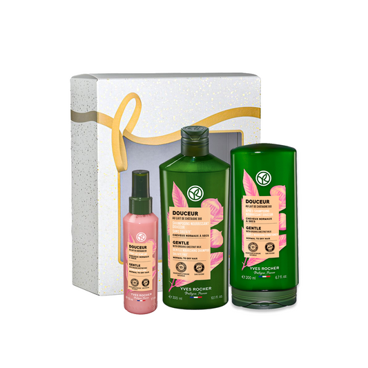 Komplekt Kastanipiimaga Bio